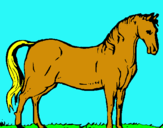 Dibuix Cavall andalús  pintat per Lauralin