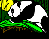 Dibuix Ós panda menjant pintat per marina