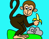 Dibuix Mono pintat per ibrahim