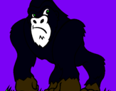 Dibuix Goril·la pintat per anònim