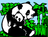 Dibuix Mare Panda pintat per Míriam Ferran