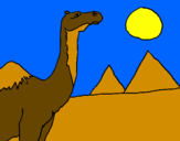 Dibuix Camell pintat per laia  moreno