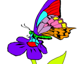 Dibuix Papallona en flor  pintat per laura   s.