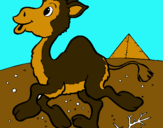 Dibuix Camell pintat per Luisa