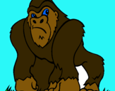 Dibuix Goril·la pintat per laura castella