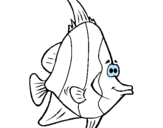 Dibuix Peix tropical pintat per marina