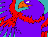 Dibuix Àguila Imperial Romana pintat per judit.18