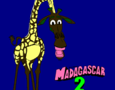 Dibuix Madagascar 2 Melman pintat per Mireia