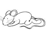 Dibuix Rateta pintat per ratoli