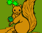 Dibuix Esquirol pintat per esquirol