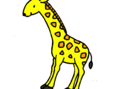 Dibuix Girafa pintat per Berta