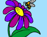 Dibuix Margarida amb abella pintat per olgac