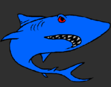Dibuix Tiburón pintat per arnau