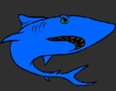 Dibuix Tiburón pintat per UNAI