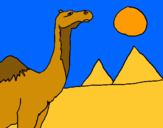 Dibuix Camell pintat per lala