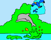 Dibuix Dofí i gavina pintat per eric  bertolin gasso
