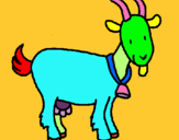 Dibuix Cabra pintat per cris