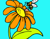 Dibuix Margarida amb abella pintat per miriam subirana