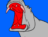 Dibuix Hipopòtam amb la boca oberta pintat per Mateu