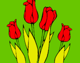 Dibuix Tulipes pintat per BARBARA
