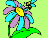 Dibuix Margarida amb abella pintat per berta  s.l