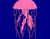 Dibuix Medusa pintat per SSSTTT