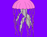 Dibuix Medusa pintat per nuria