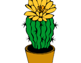 Dibuix Cactus amb flor pintat per MARGA