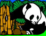 Dibuix Ós Panda i Bambú pintat per Tura