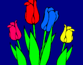 Dibuix Tulipes pintat per  Helena