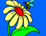 Dibuix Margarida amb abella pintat per vileta