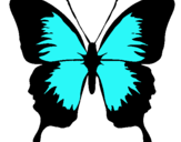 Dibuix Papallona amb ales negres  pintat per papallona dos colors