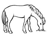 Dibuix Cavall menjant pintat per LAURA
