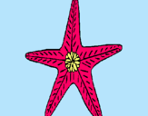 Dibuix Estrella de mar pintat per katy