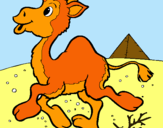 Dibuix Camell pintat per claudia