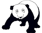 Dibuix Ós panda pintat per laia torres navarro
