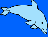 Dibuix Dofí content pintat per sandrahomspicañol