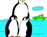 Dibuix Família pingüí  pintat per ivan