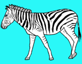 Dibuix Zebra pintat per joel