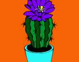 Dibuix Cactus amb flor pintat per JAMIE