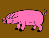 Dibuix Porc amb peülles negres  pintat per Ferran
