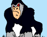 Dibuix Goril·la pintat per razvan