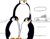 Dibuix Família pingüí  pintat per Adrian