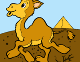 Dibuix Camell pintat per claudia lopez