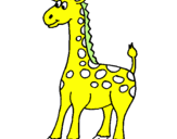 Dibuix Girafa pintat per alba arrebola alerm
