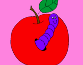 Dibuix Poma amb cuc pintat per LUCIA