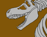 Dibuix Esquelet tiranosauri rex pintat per amadeo