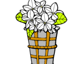 Dibuix Cistell amb flors 3 pintat per AGNE