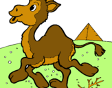 Dibuix Camell pintat per diana manjarres