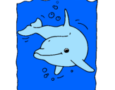 Dibuix Dofí pintat per DELFIN